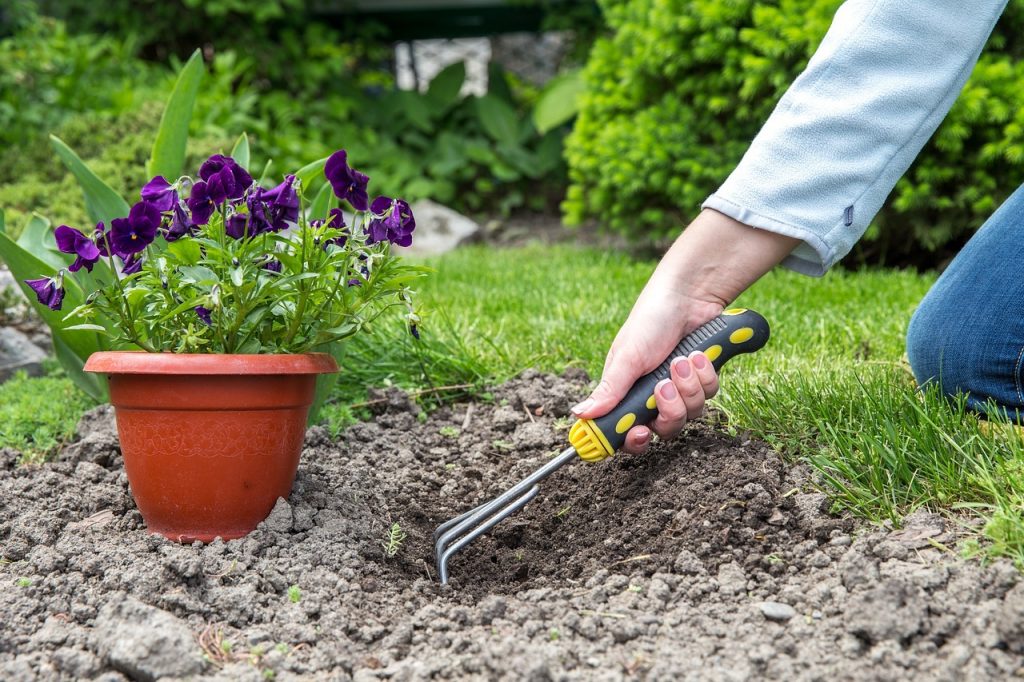 Des trucs et astuces simples pour le jardinage