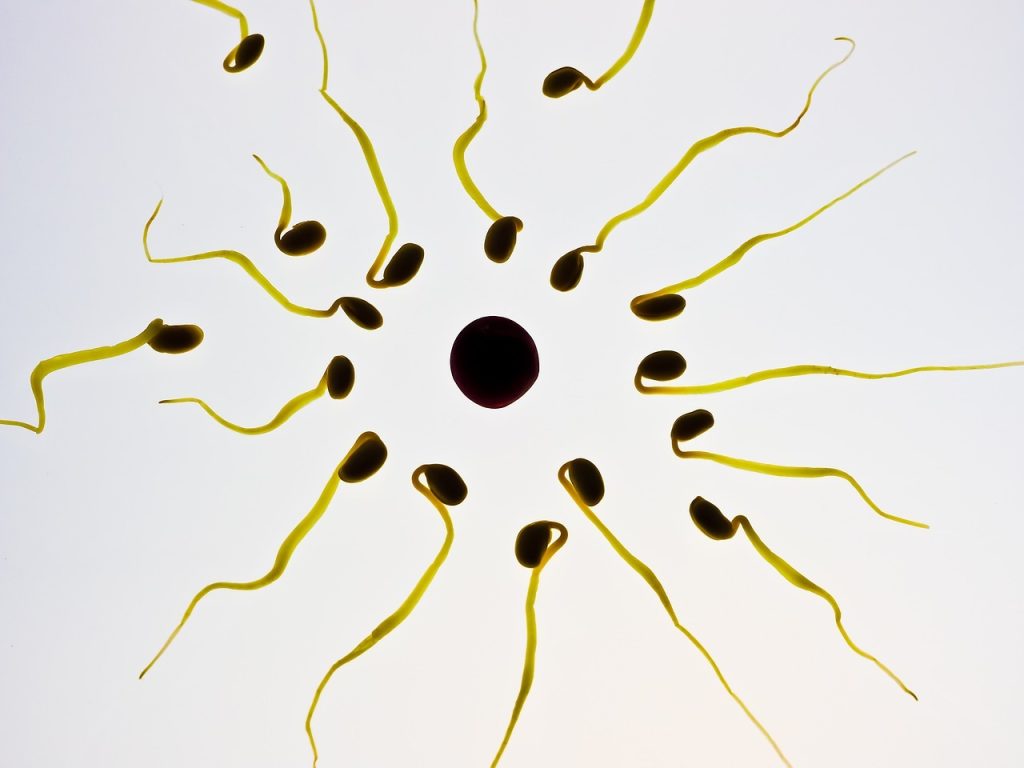 Tout ce que vous devez savoir sur le sperme