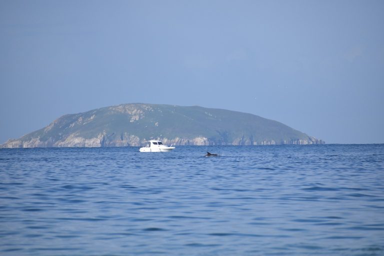 excursion dauphin martinique la location de voiture pour le voyage.